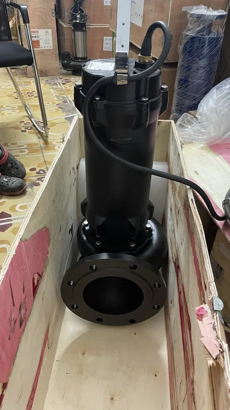 Bơm chìm nước thải WC thân gang tại kho Trung Kiên